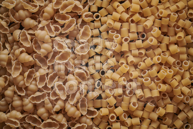 2 types of pasta filling the frame