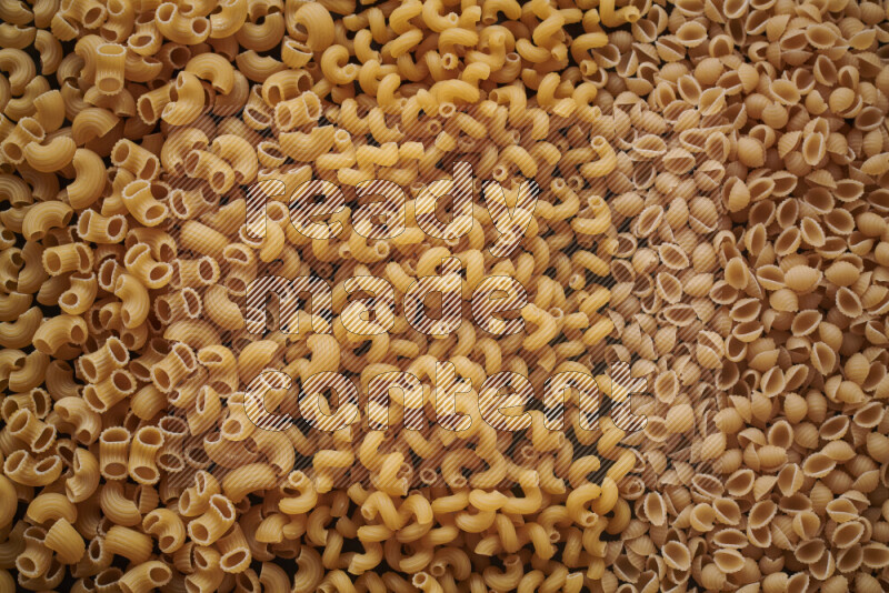 3 types of pasta filling the frame