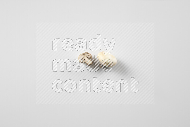 Mushrooms on white background
