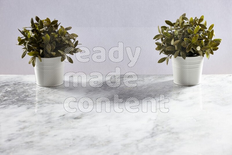 Two green artificial plants in white pot on grey marble background