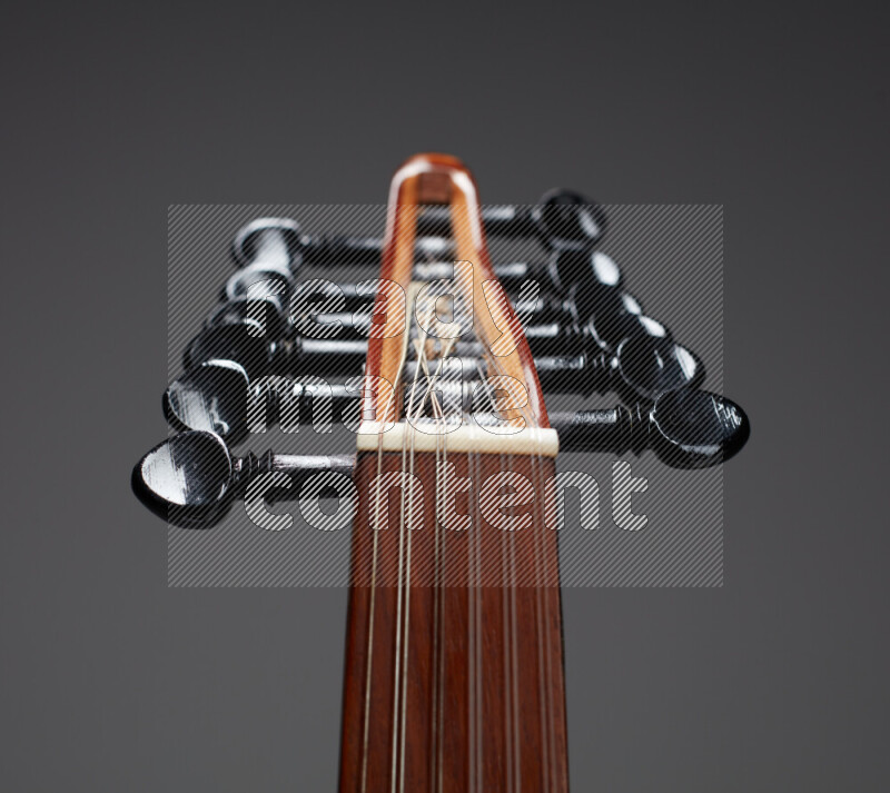 parts of a brown wooden Oud in a gray background