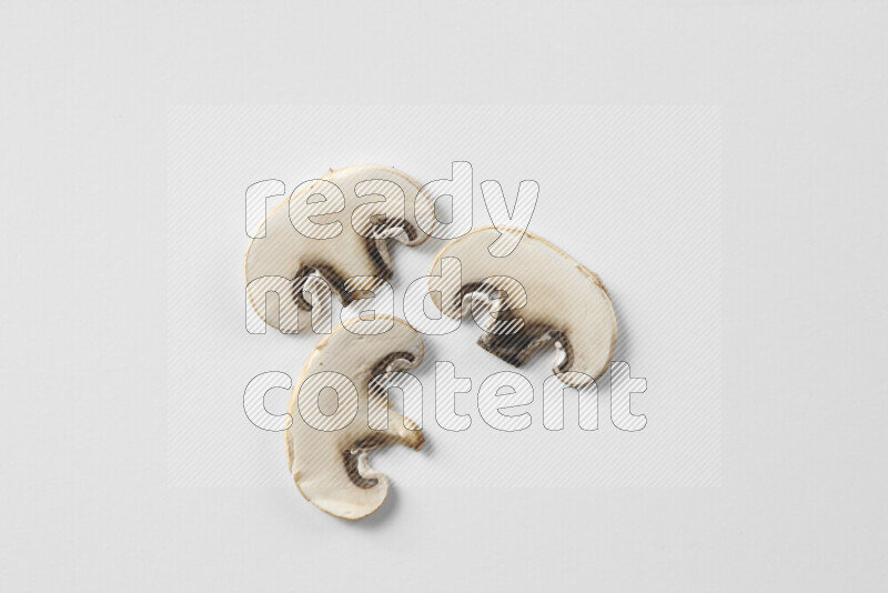 Mushrooms on white background