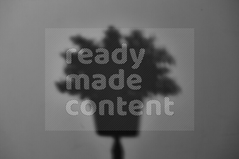 A delicate gobo light projects the silhouette of plant leaves onto a smooth surface