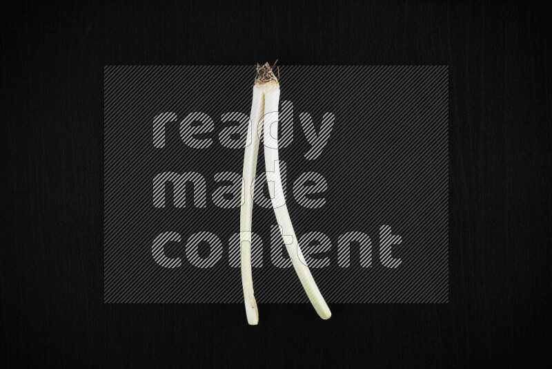 مراحل نمو البصل الأخضر على خلفية سوداء