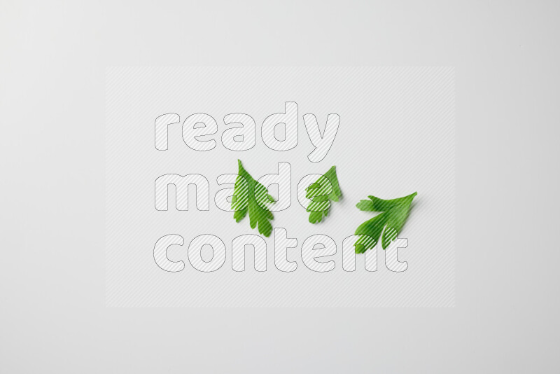 Scattered fresh parsley leaves on white background