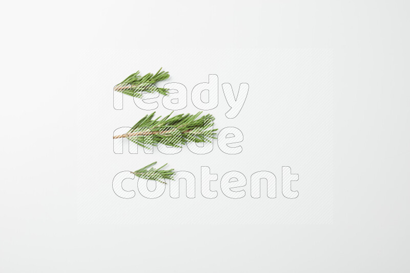 Three fresh rosemary sprigs on white background