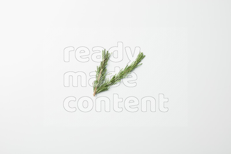 Two fresh rosemary sprigs on white background