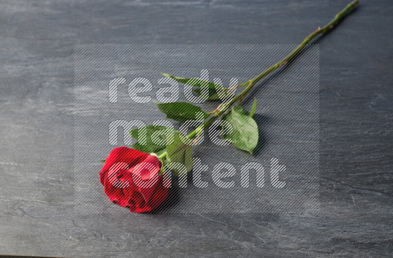 A single red rose with vibrant green leaves on black marble background