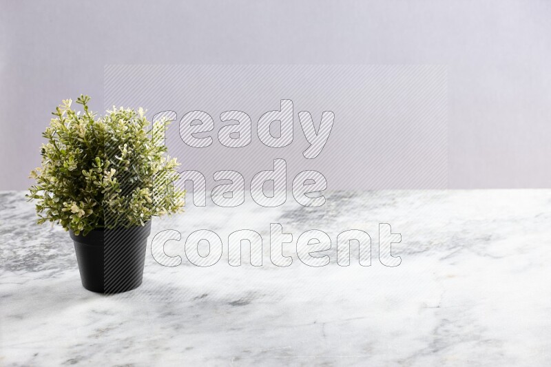 Artificial plant in black pot on grey marble background