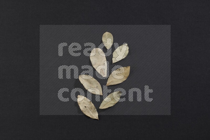 Dried bay leaves on black flooring