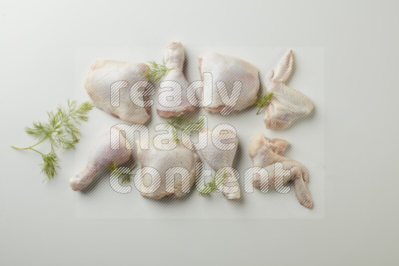 Mixed fresh chicken pieces direct on a white background