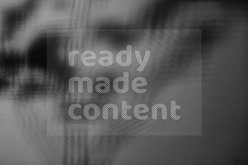 A delicate gobo light projects the silhouette of plant leaves onto a smooth surface