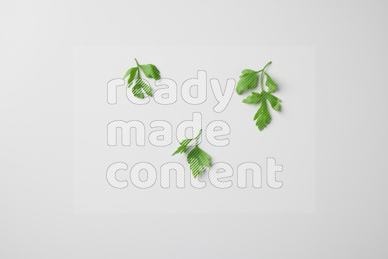 Scattered fresh parsley leaves on white background