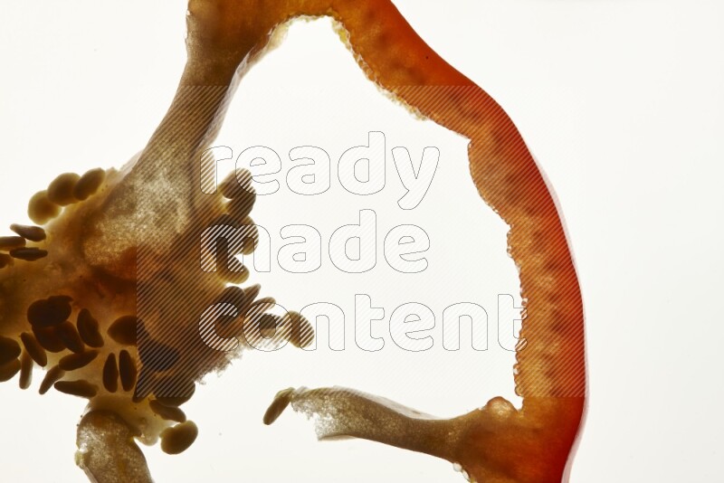 Red bell pepper slices on illuminated white background