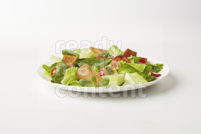 fattoush salad in a white plate direct on a white background