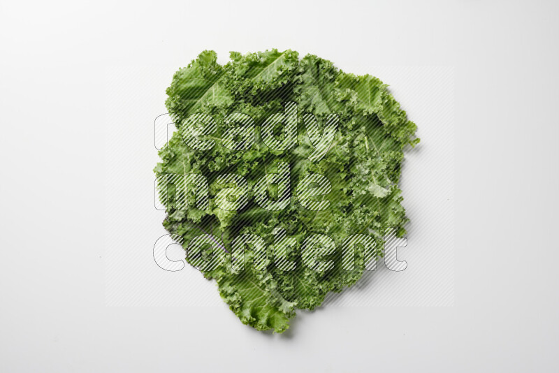 An array of kale leaves spread out on a white background