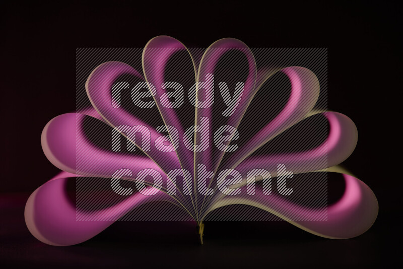 An abstract art piece displaying smooth curves in pink gradients created by colored light