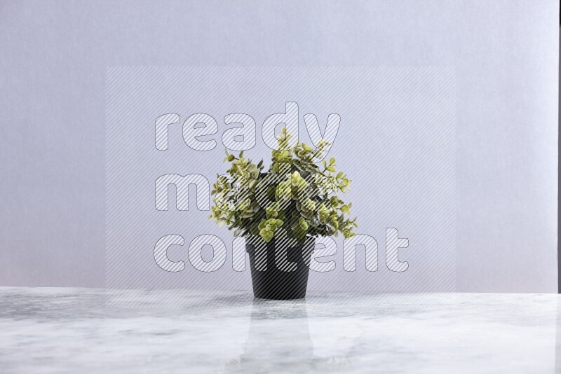 Green artificial plant in black pot on grey marble background