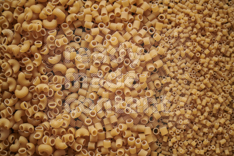 3 types of pasta filling the frame