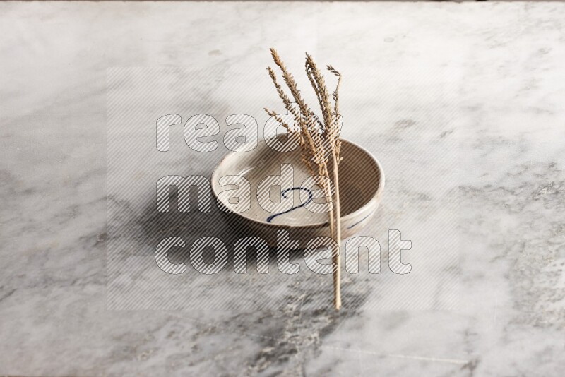 Wheat stalks on multicolored pottery bowl on grey marble background