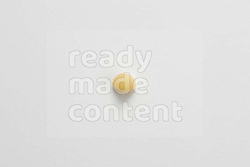 Shells pasta on white background