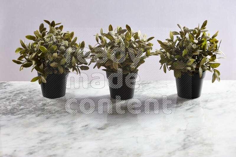 Multiple artificial plants in black pot on grey marble background