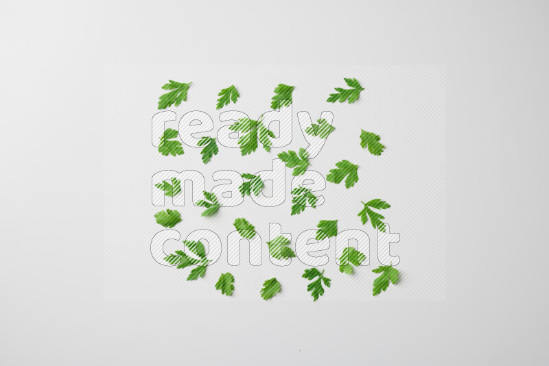 Scattered fresh parsley leaves on white background