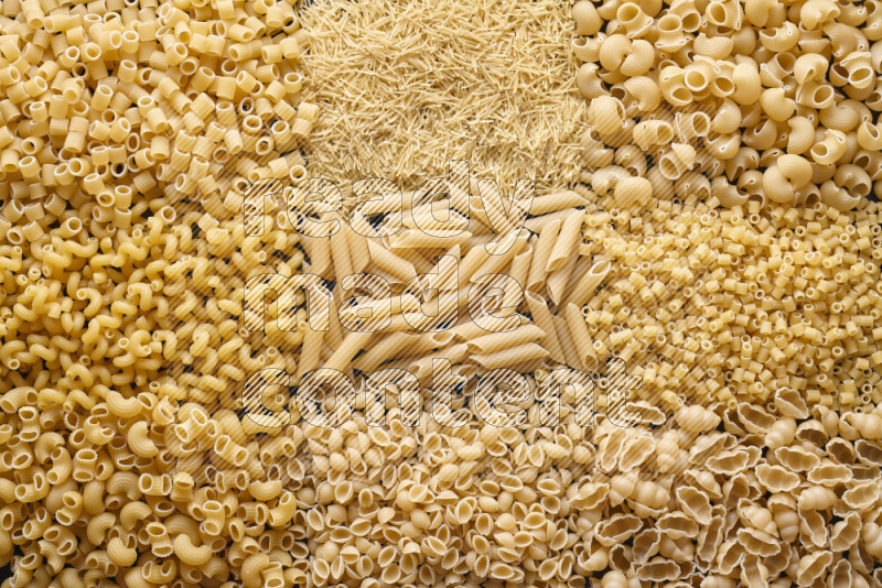 9 types of pasta filling the frame