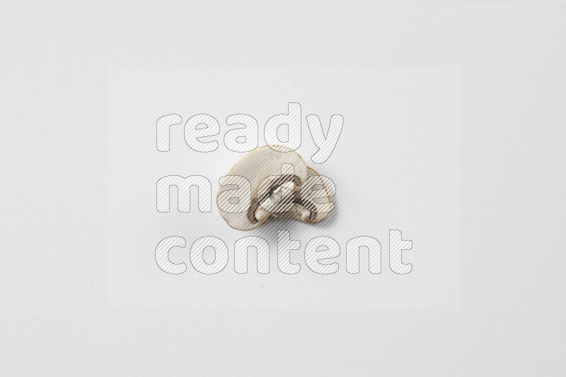 Mushrooms on white background