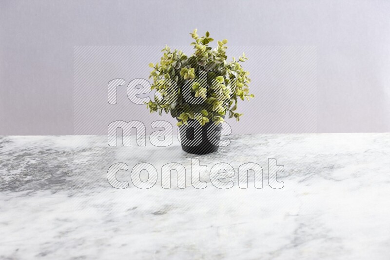 Green artificial plant in black pot on grey marble background