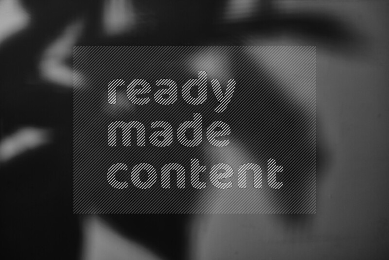 A delicate gobo light projects the silhouette of plant leaves onto a smooth surface