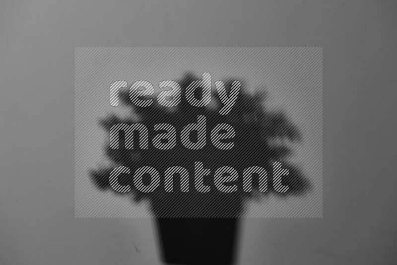 A delicate gobo light projects the silhouette of plant leaves onto a smooth surface