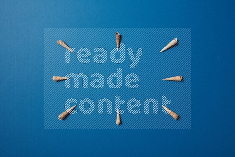 top view shot of seashells arrangement on blue background