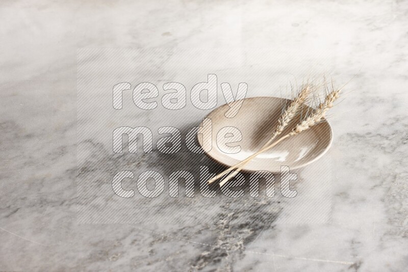 Wheat stalks on Beige Pottery Plate on grey marble flooring, 45 degree angel