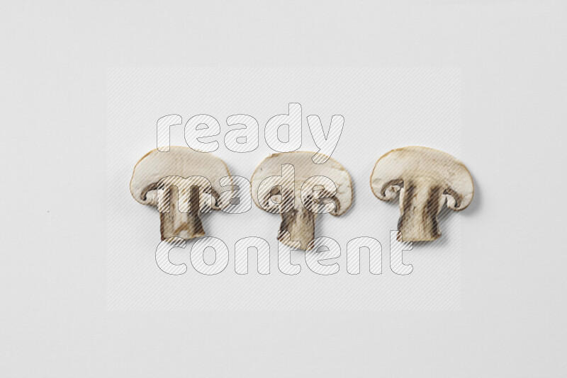 Mushrooms on white background