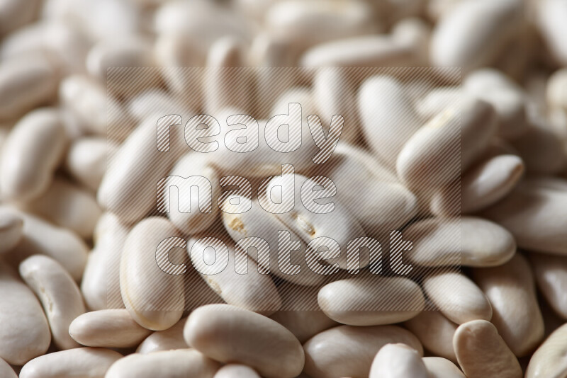 White beans on white background
