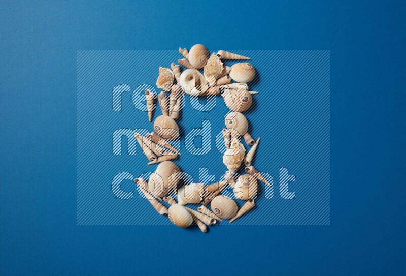 top view shot of seashells arrangement on blue background