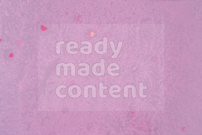 The image captures a dramatic splatter of pink paint over a white backdrop