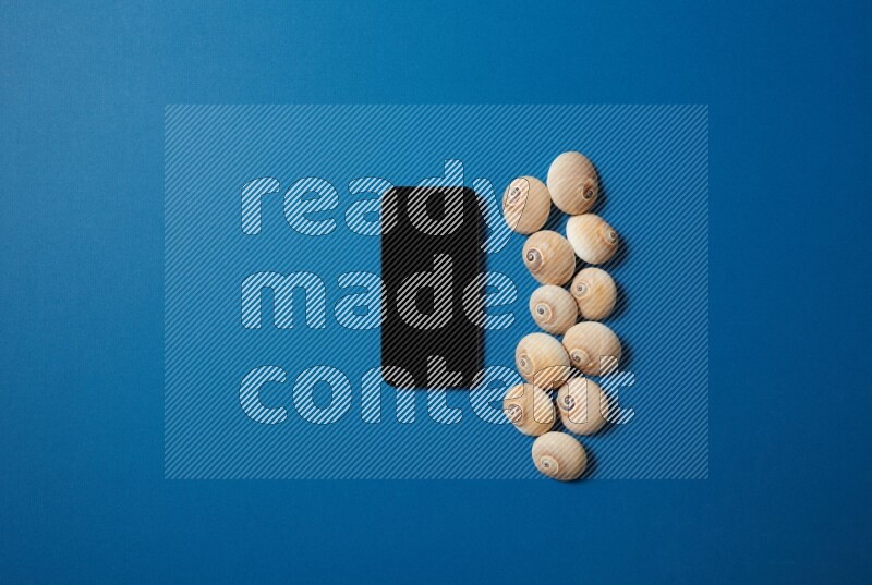 top view shot of phone with seashells on blue background