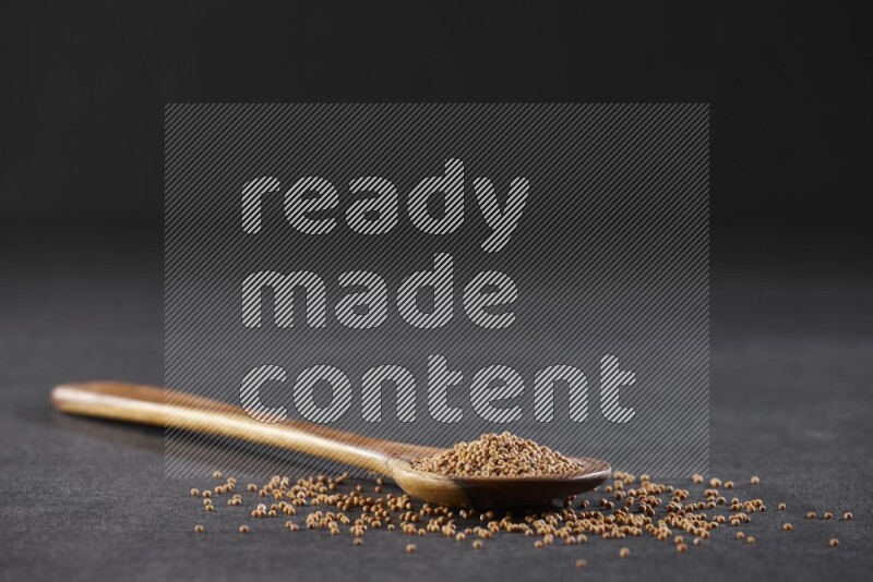 A wooden spoon full of mustard seeds on a black flooring