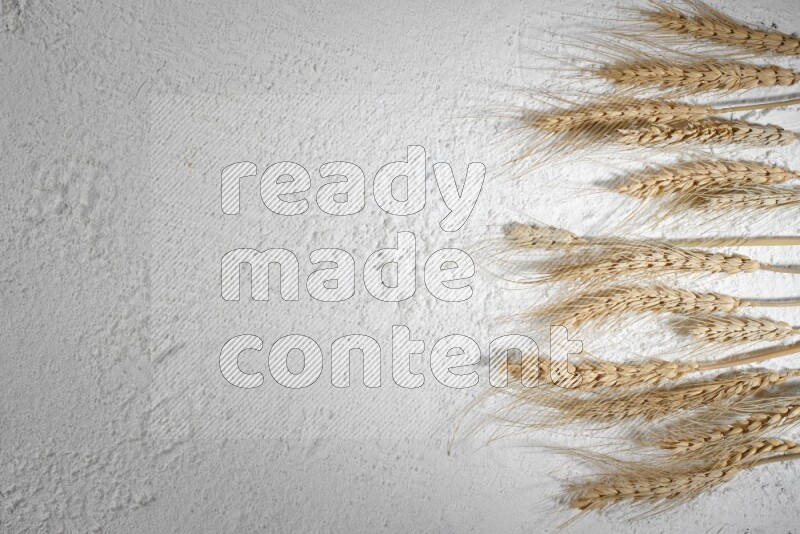 Wheat stalks on flour