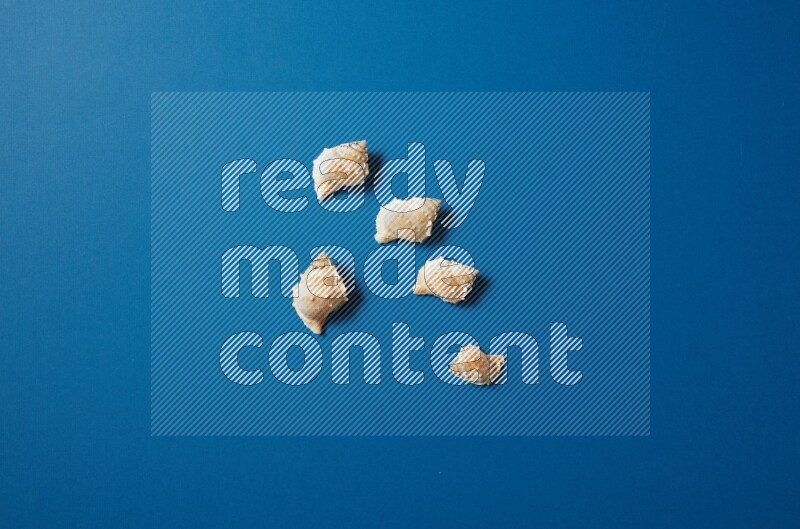 top view shot of seashells arrangement on blue background
