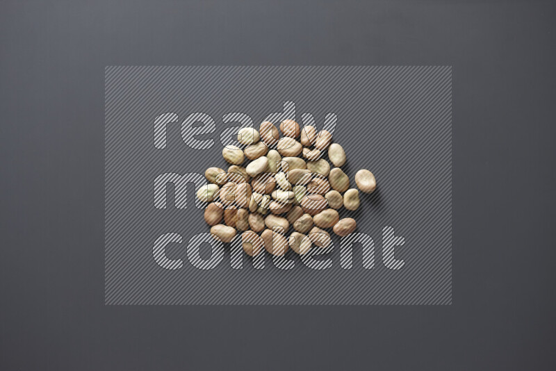 Fava beans on grey background