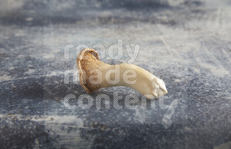 45 degre king oysters mushrooms on a textured rustic blue background