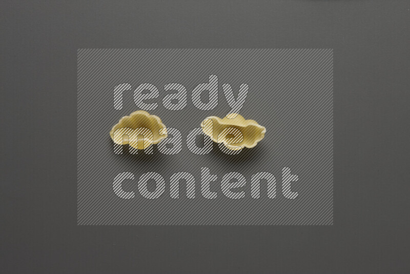 Snails pasta on grey background