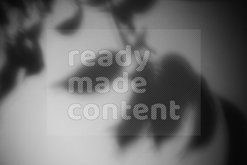 A delicate gobo light projects the silhouette of plant leaves onto a smooth surface