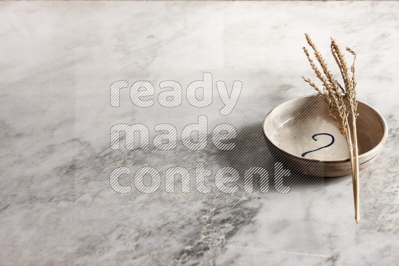 Wheat stalks on multicolored pottery bowl on grey marble background