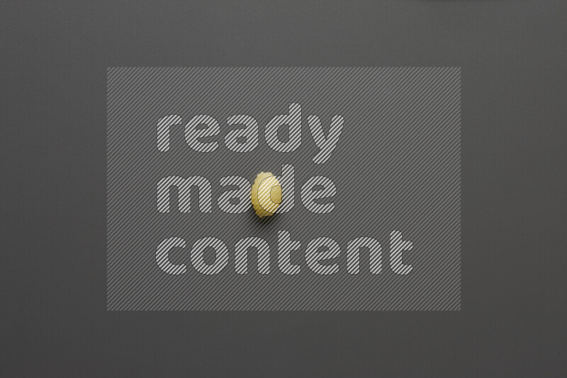 Shells pasta on grey background