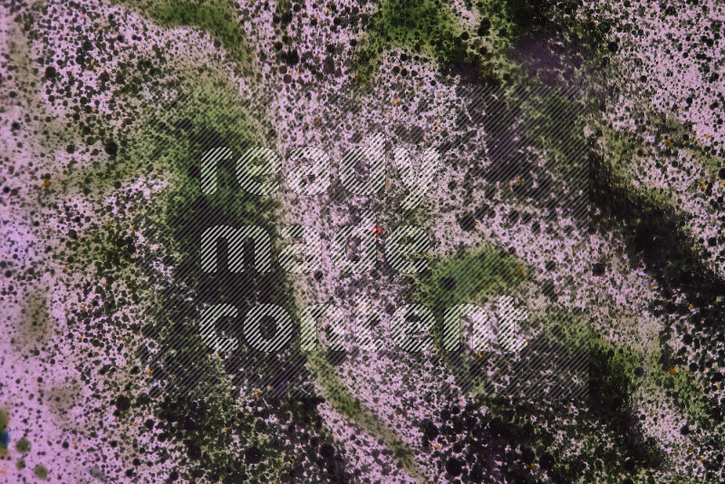 Close-ups of abstract green watercolor drops on oil Surface on pink background