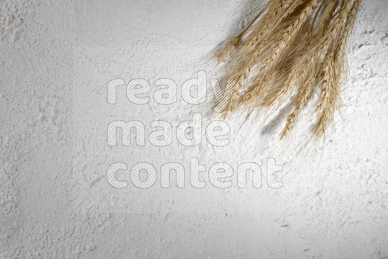 Wheat stalks on flour